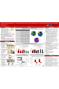 Poster PDF