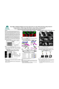 Poster PDF