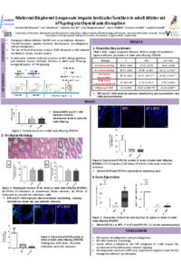Poster PDF