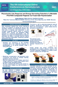 Poster PDF