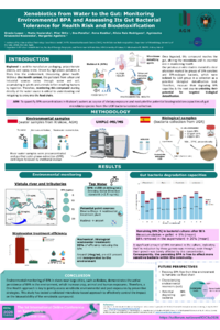 Poster PDF