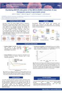 Poster PDF