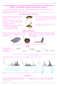 Poster PDF