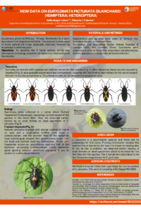 Poster PDF