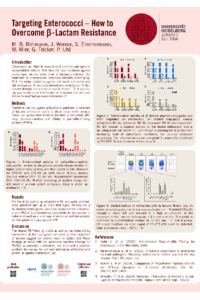 Poster PDF