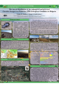 Poster PDF