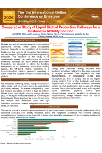 Poster PDF