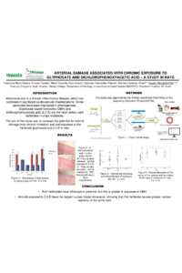 Poster PDF