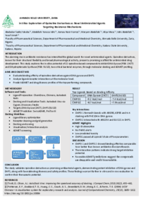 Poster PDF
