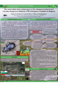 Poster PDF