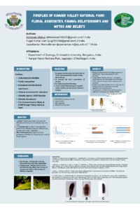 Poster PDF
