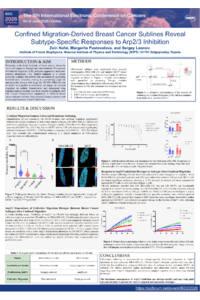 Poster PDF