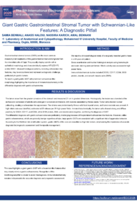 Poster PDF