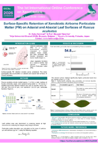 Poster PDF
