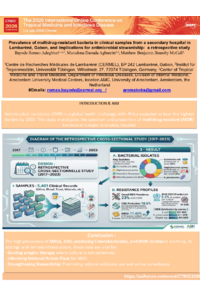 Poster PDF