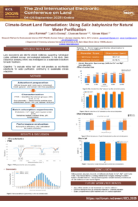 Poster PDF