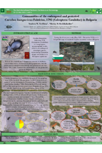 Poster PDF