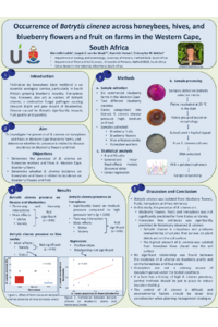 Poster PDF