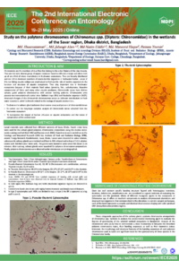 Poster PDF