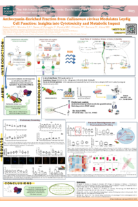 Poster PDF