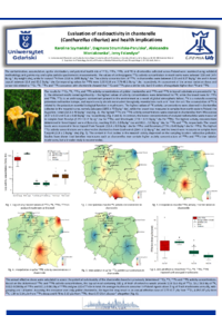 Poster PDF