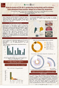 Poster PDF