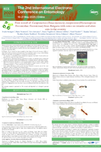 Poster PDF