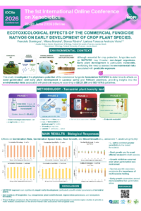 Poster PDF