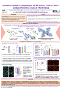 Poster PDF