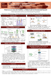 Poster PDF