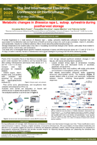 Poster PDF