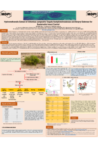 Poster PDF