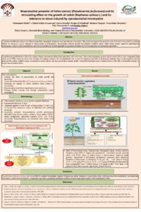 Poster PDF