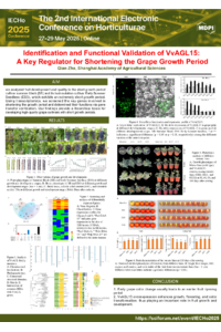 Poster PDF