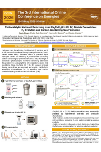 Poster PDF