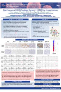 Poster PDF