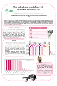 Poster PDF