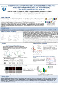 Poster PDF