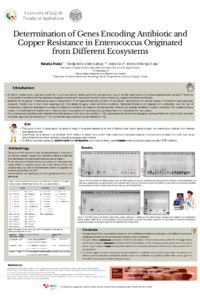 Poster PDF