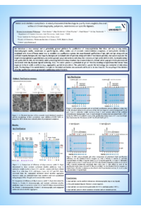 Poster PDF