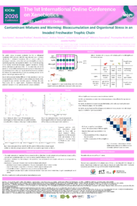 Poster PDF