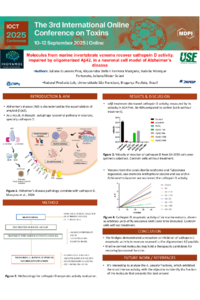 Poster PDF