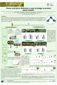 Poster PDF
