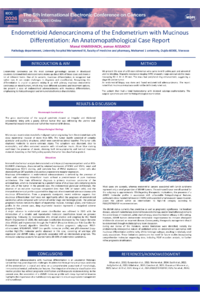 Poster PDF