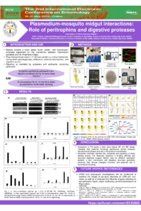 Poster PDF