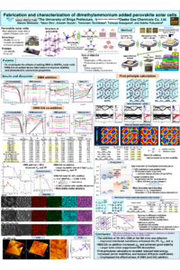 Poster PDF