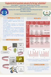Poster PDF