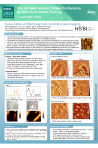 Poster PDF