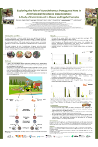 Poster PDF