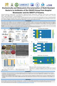 Poster PDF